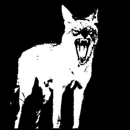 Radio Coyote logo