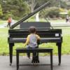 Flower Piano takes place in the S.F. Botanical Garden