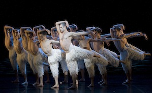 Richard Winsor and the swans of Matthew Bourne 