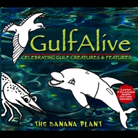 Gulf Alive
