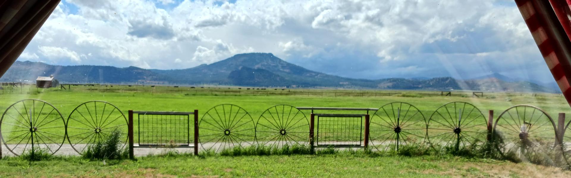 The view from a Sierra Valley ranch