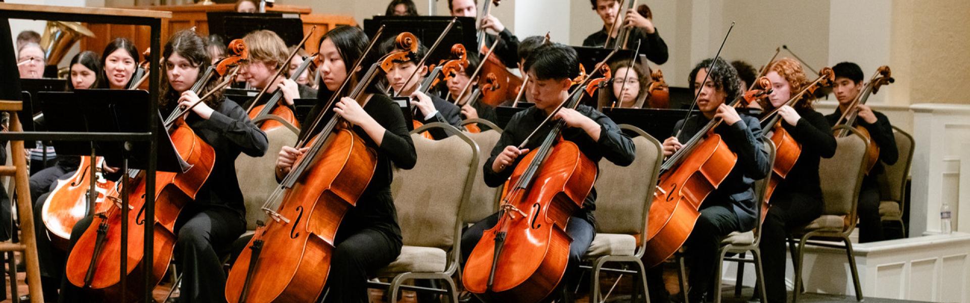 YPSO cello section