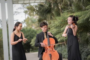 Young Chamber Musicians 