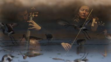 Two performers, a cellist and violinist, mingle with migratory birds in an ethereal landscape