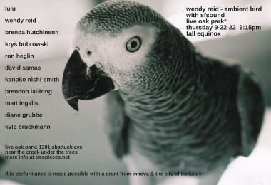 Wendy Reid's Ambient Bird - Live Oak for African Grey Parrot and open ensemble with sfSOUND