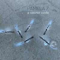 Pamela Z - Secret Code