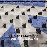 William Susman - A Quiet Madness