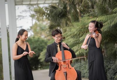 Young Chamber Musicians 