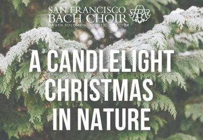 San Francisco Bach Choir - A Candlelight Christmas in Nature