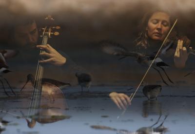 Two performers, a cellist and violinist, mingle with migratory birds in an ethereal landscape