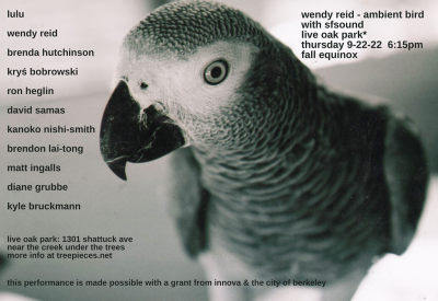 Wendy Reid's Ambient Bird - Live Oak for African Grey Parrot and open ensemble with sfSOUND