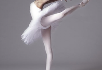 city ballet swan.png