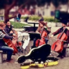 Cello String Quartet